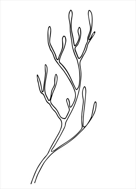 苔藓分支线艺术图片下载