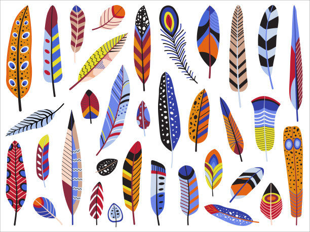 彩色鸟羽毛设置在平面设计图片下载