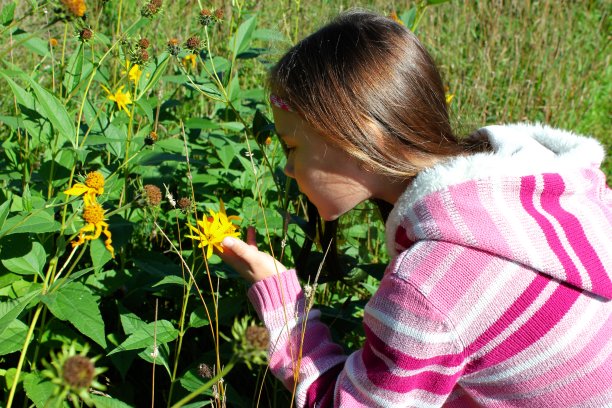 看花的女孩图片下载