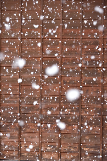 冬天大雪纷飞图片下载