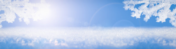 网横幅冬季主题树枝与霜雪霜雪在一个霜冻的阳光灿烂的日子图片下载