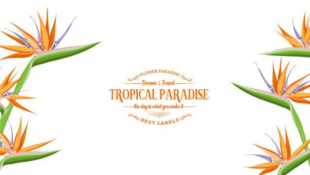 漂亮的卡片上有一个花环图片下载