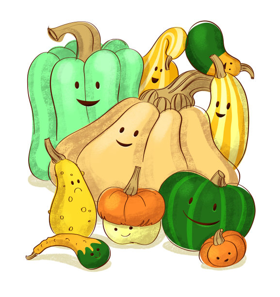 一组不同形状和颜色的南瓜。品种的南瓜。收获南瓜。图片下载