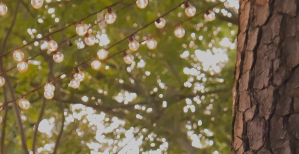 树上挂着灯图片下载