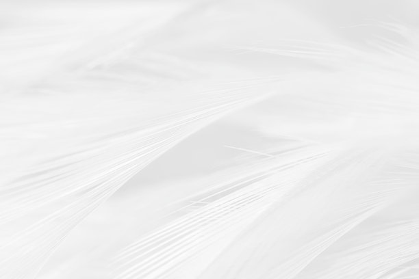 黑白羽毛纹理背景图片下载