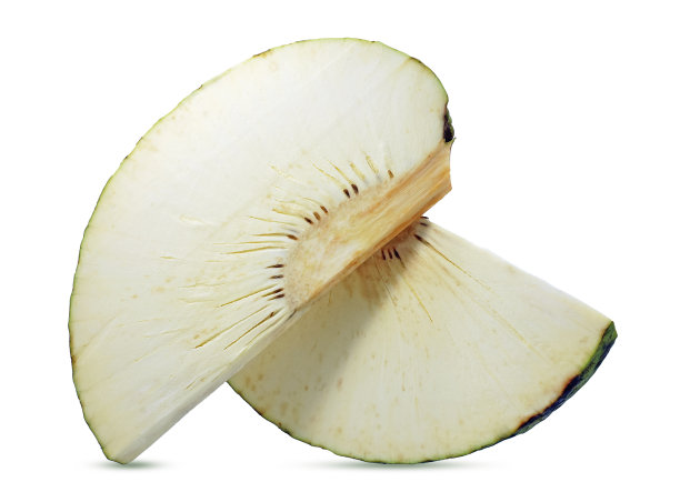 面包果孤立在白色背景上图片下载