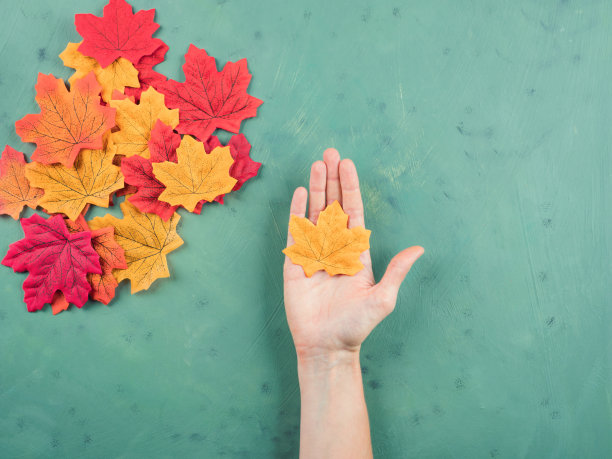 女性手握秋叶上的绿色图片下载