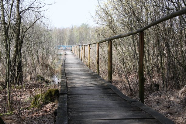 绿色旅游图片下载