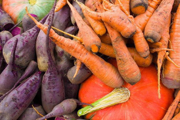 甜菜、胡萝卜和南瓜都可以收获。有机农业的概念。图片下载