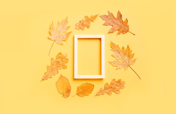 彩色的叶子框架上的黄色背景与复制空间。万圣节或感恩节的概念。图片下载