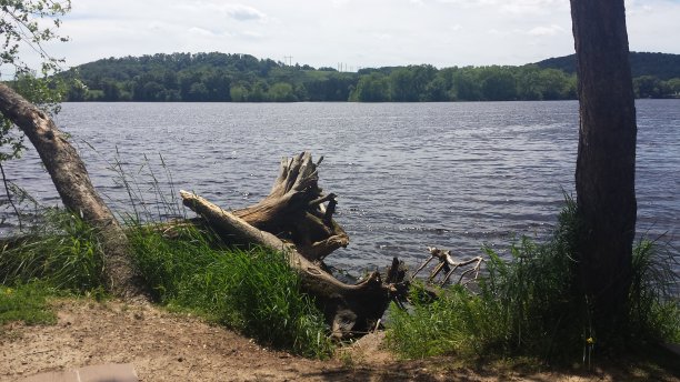 世界是美丽的图片下载