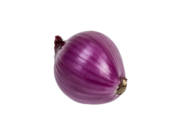 白色背景上的紫色洋葱球图片下载