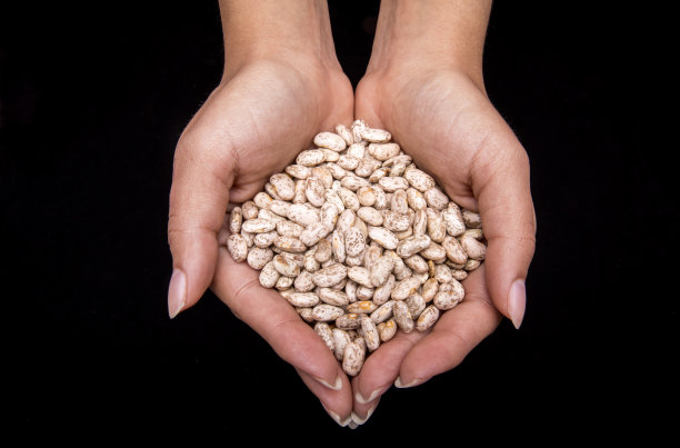 女人拿着不同的种子在黑色的背景图片下载