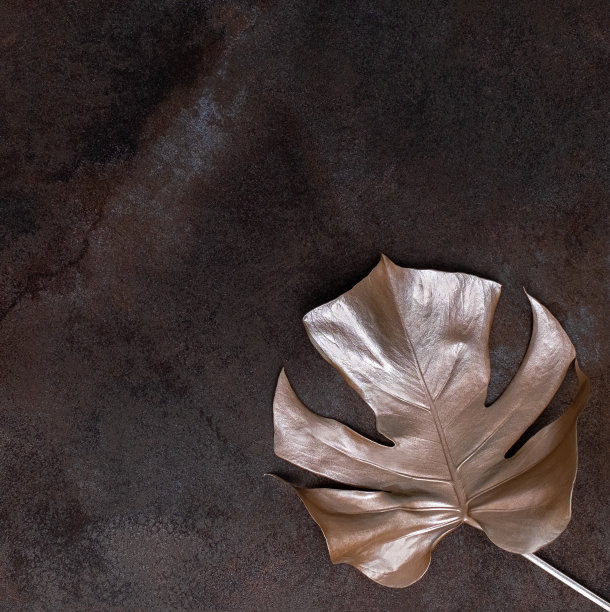 大理石背景上的金色棕榈叶。高质量的照片。图片下载