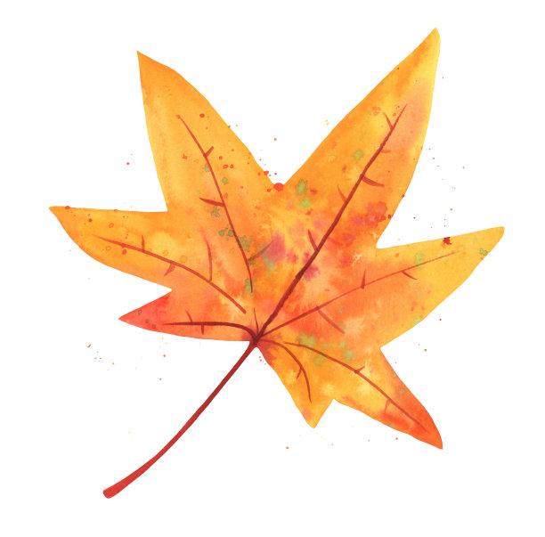 秋天的水彩枫叶，孤立在白色的背景上图片下载