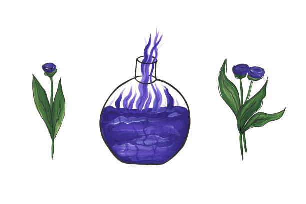 有颜色的烧瓶，里面有药水、化学药品和毒药，还有紫色的液体。紫色的花在绿色的叶子里。图标。万圣节。化学。这种药。实验。涂鸦风格。水彩插图图片下载