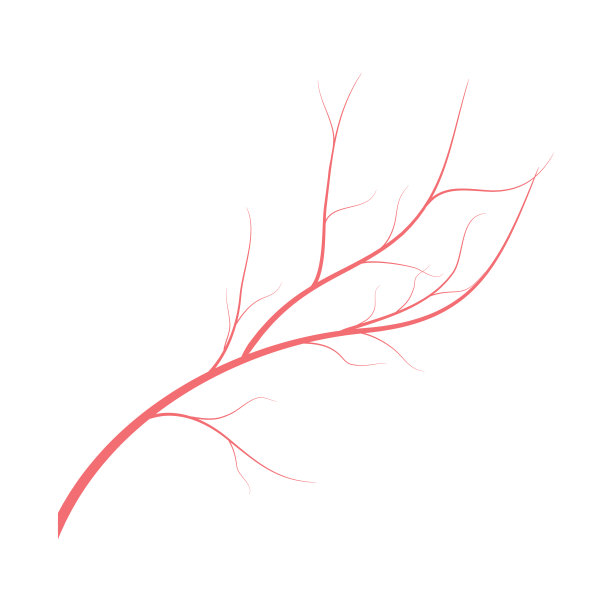 人体血管，白色背景上的红色血管设计。白色背景上的红色人体血管。矢量插图孤立。卫生保健的概念。内脏器官解剖说明。图片下载