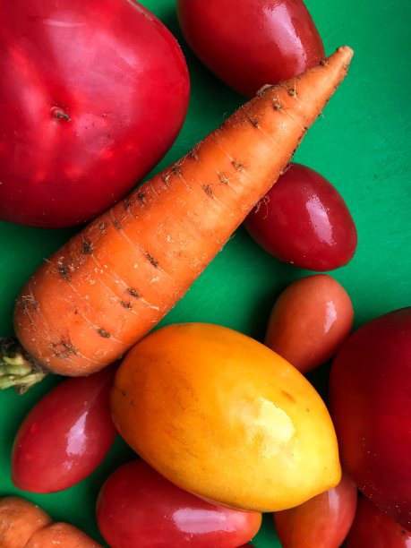 蔬菜西红柿辣椒胡萝卜图片下载
