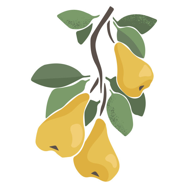 水果分支图片下载