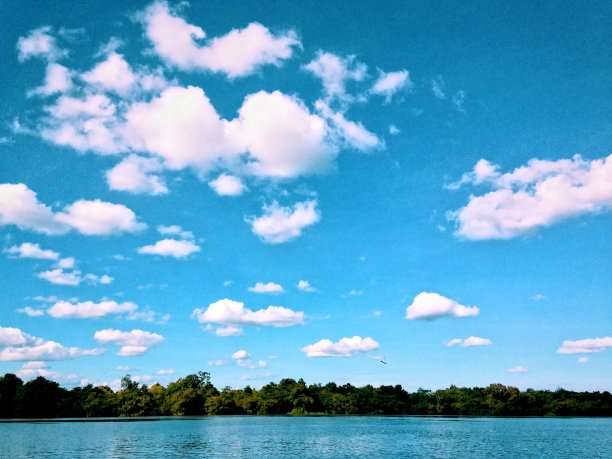 曼提亚河，婆罗洲中部的背景图片下载