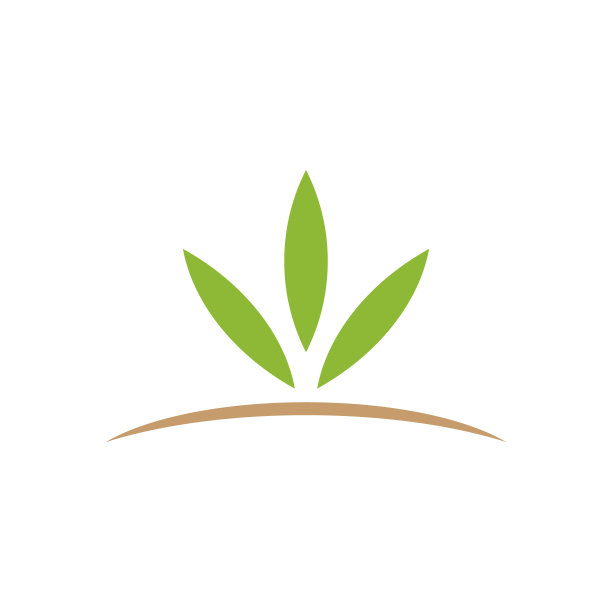 叶子矢量股票插图设计模板。图片下载