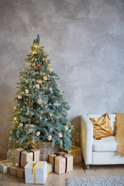 圣诞室内客厅图片下载