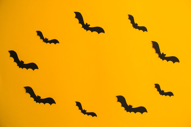 万圣节的背景图片下载