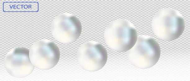 闪亮的白色海珍珠在透明的背景。漂亮的女性首饰。为你的海报，横幅做插图。矢量插图。图片下载