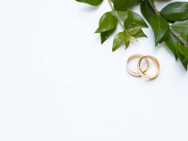 两个金结婚戒指和绿叶图片下载
