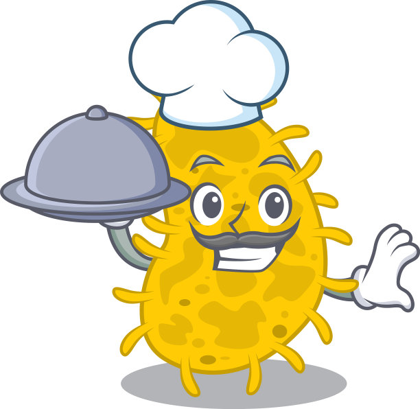 细菌螺旋体厨师卡通人物服务图片下载