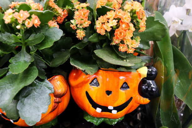 南瓜形状的花盆图片下载