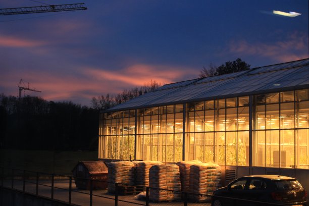 温室在日落时分图片下载