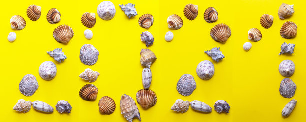 新年。用贝壳制成的2021年圣诞贺卡。创意贺卡的节日与冷杉树枝。黄泥猪年。浅橙色的圣诞树树枝图片下载