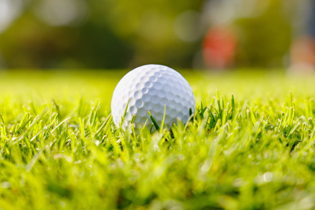绿油油的高尔夫球场图片下载