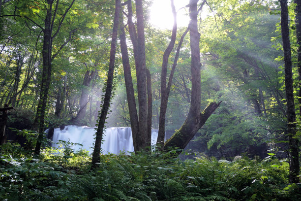 日本青森市的磐濑河图片下载