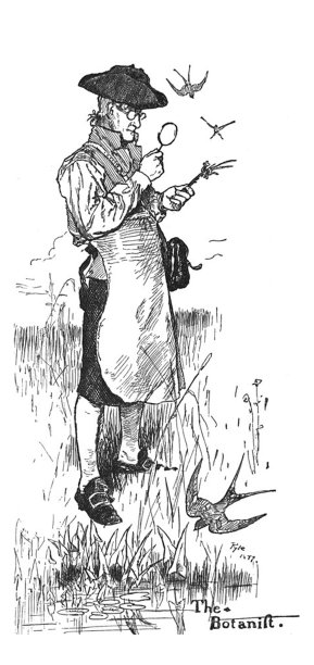 古董插图-约翰巴特拉姆-植物学家-费城-用放大镜看一株植物图片下载