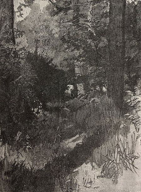 古色古香的插图-有大树的花园小径图片下载