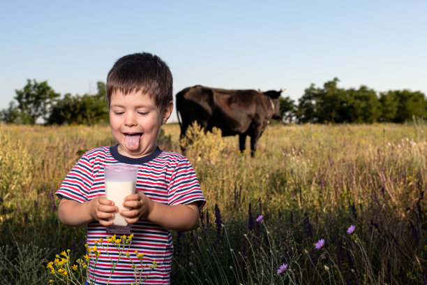 在田野里，一个穿着明亮条纹t恤的小男孩抱着一头黑奶牛喝着天然牛奶。钙。图片下载
