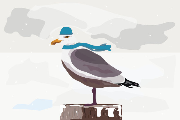 雪中的海鸥戴着围巾和帽子图片下载