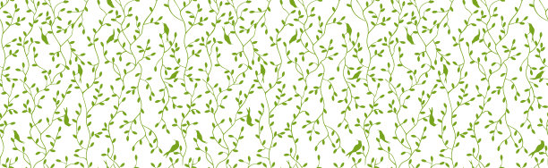 无缝图案与桦树和鸟类图片下载