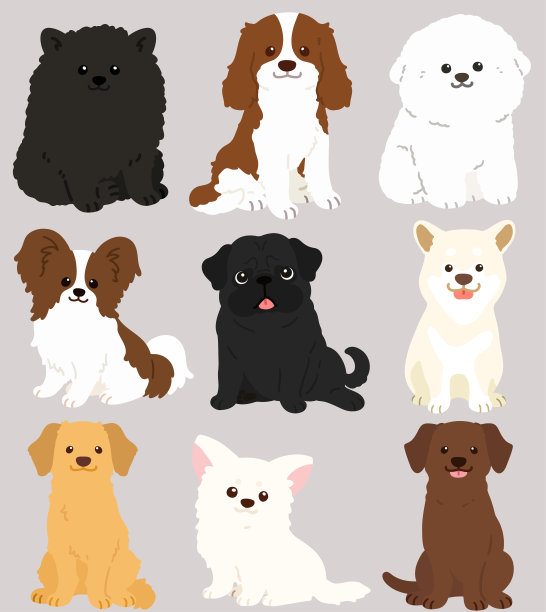 一组平坦的彩色可爱的狗坐在前面的观点图片下载