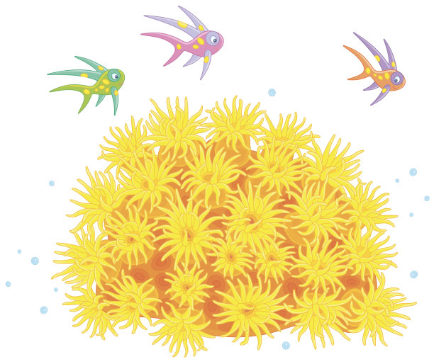 五颜六色的小鱼在海葵上面图片下载