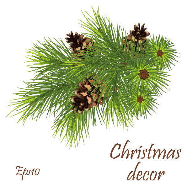 有球果的冷杉树枝花环。圣诞节的框架问候新年和圣诞卡，横幅，邀请图片下载