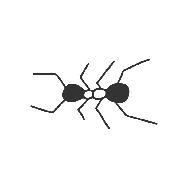矢量昆虫图标，一个蚂蚁。手绘简单的最小插图。图片下载