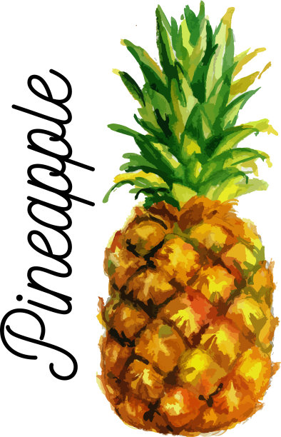 水彩菠萝eps 10不透明图片下载