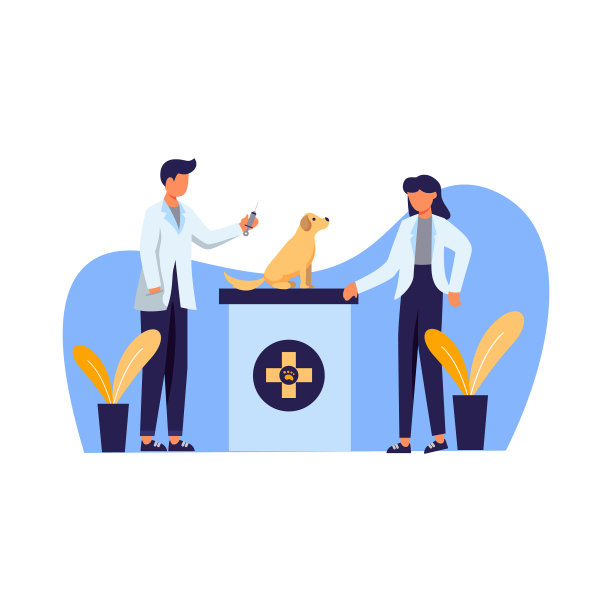 兽医检查宠物健康，狗，小猫和鸟图片下载