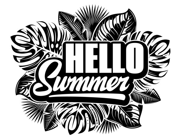 有题词的夏季聚会海报图片下载