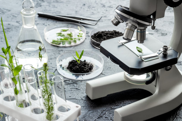 在微生物实验室用显微镜研究植物和土壤。图片下载