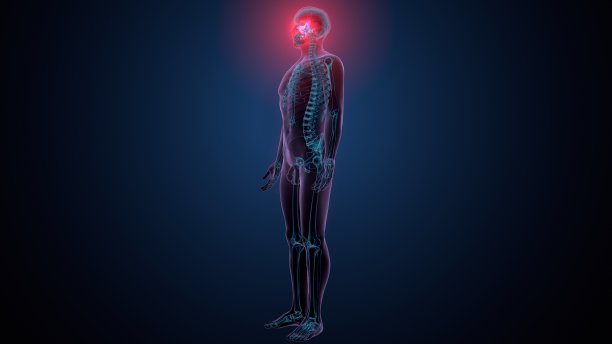 人体骨骼、颅骨、颞骨解剖的三维插图图片下载