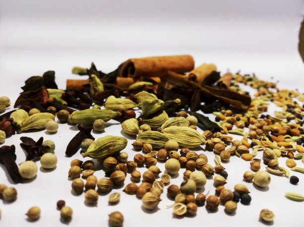 类型的草本植物图片下载